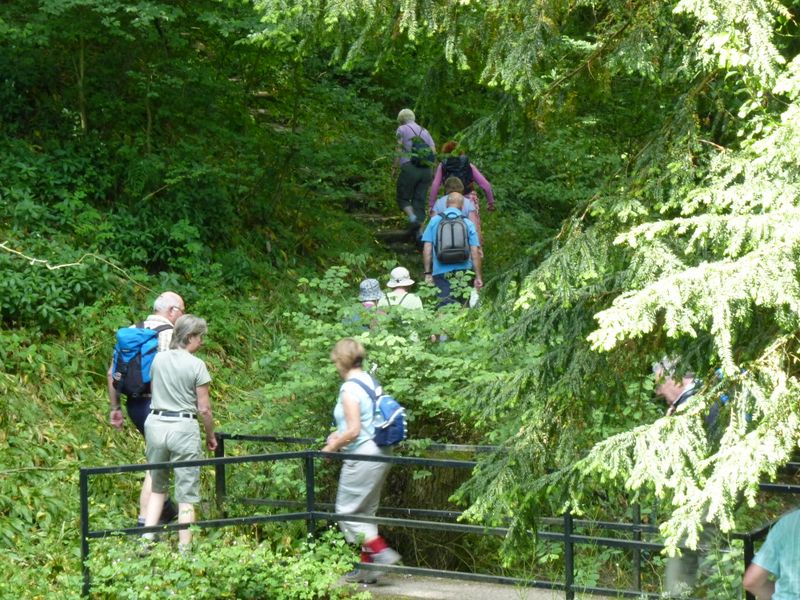 A group of people on a walk in the country crossing a bridge over a beck and walking up a path in woodland.